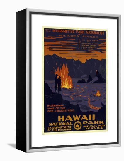 Hawaii National Park-null-Framed Premier Image Canvas