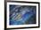 Hawaii, Oahu, Honolulu, Pearl Harbor, Uss Arizona Memorial-David Wall-Framed Photographic Print