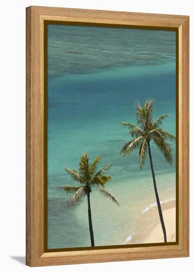 Hawaii, Oahu, Honolulu, Waikiki, Fort Derussy Beach and Palm Trees-David Wall-Framed Premier Image Canvas