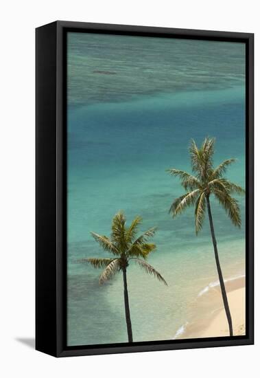 Hawaii, Oahu, Honolulu, Waikiki, Fort Derussy Beach and Palm Trees-David Wall-Framed Premier Image Canvas