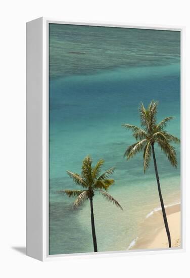 Hawaii, Oahu, Honolulu, Waikiki, Fort Derussy Beach and Palm Trees-David Wall-Framed Premier Image Canvas