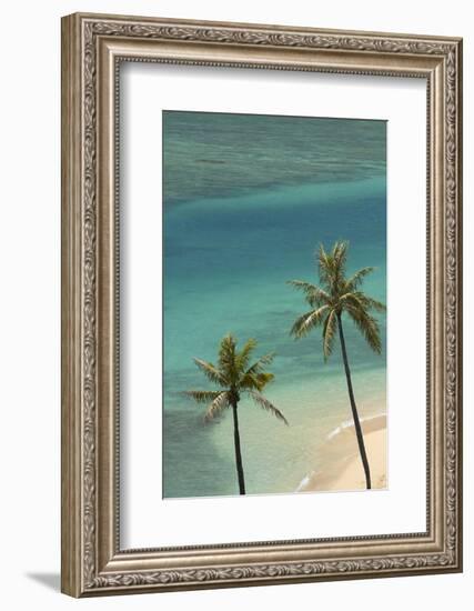 Hawaii, Oahu, Honolulu, Waikiki, Fort Derussy Beach and Palm Trees-David Wall-Framed Photographic Print