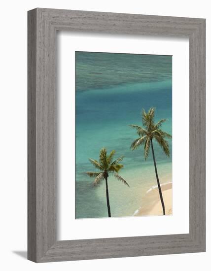 Hawaii, Oahu, Honolulu, Waikiki, Fort Derussy Beach and Palm Trees-David Wall-Framed Photographic Print