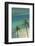 Hawaii, Oahu, Honolulu, Waikiki, Fort Derussy Beach and Palm Trees-David Wall-Framed Photographic Print