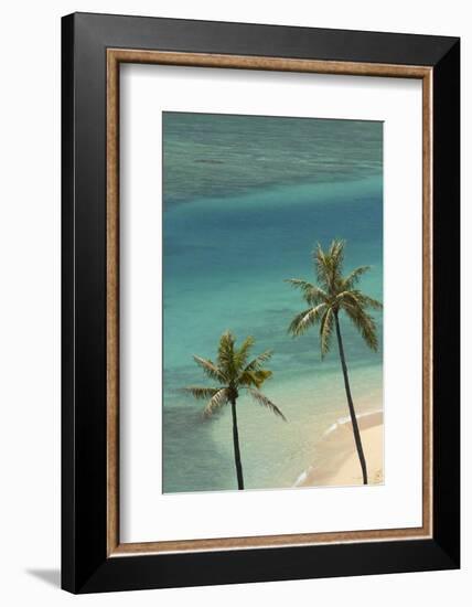 Hawaii, Oahu, Honolulu, Waikiki, Fort Derussy Beach and Palm Trees-David Wall-Framed Photographic Print