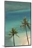 Hawaii, Oahu, Honolulu, Waikiki, Fort Derussy Beach and Palm Trees-David Wall-Mounted Photographic Print