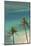 Hawaii, Oahu, Honolulu, Waikiki, Fort Derussy Beach and Palm Trees-David Wall-Mounted Photographic Print