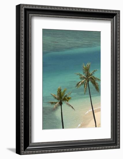 Hawaii, Oahu, Honolulu, Waikiki, Fort Derussy Beach and Palm Trees-David Wall-Framed Photographic Print