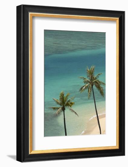 Hawaii, Oahu, Honolulu, Waikiki, Fort Derussy Beach and Palm Trees-David Wall-Framed Photographic Print