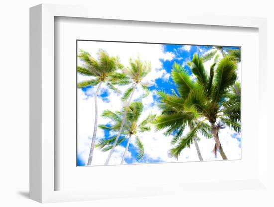 Hawaii Oahu Palms-Bill Carson Photography-Framed Photographic Print