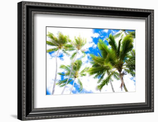 Hawaii Oahu Palms-Bill Carson Photography-Framed Photographic Print