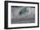 Hawaii, Oahu, Surfers in Action at the Pipeline on the Coast-Terry Eggers-Framed Photographic Print