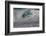 Hawaii, Oahu, Surfers in Action at the Pipeline on the Coast-Terry Eggers-Framed Photographic Print