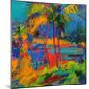 Hawaii Optical, 2024 (Oil on Canvas)-Peter Graham-Mounted Giclee Print