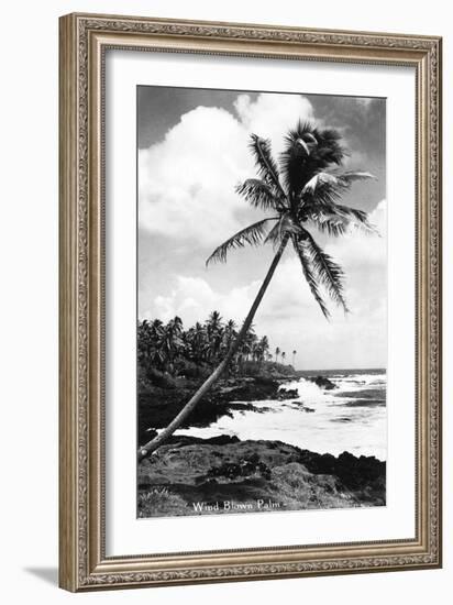 Hawaii - Palms along the Beach-Lantern Press-Framed Art Print