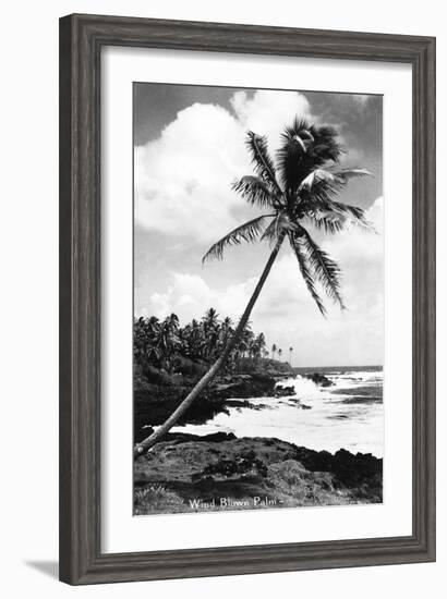 Hawaii - Palms along the Beach-Lantern Press-Framed Art Print