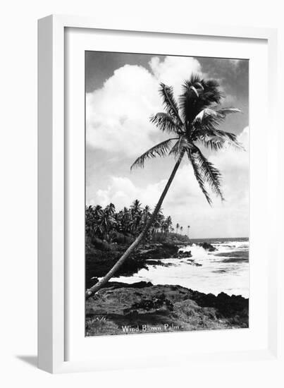 Hawaii - Palms along the Beach-Lantern Press-Framed Art Print