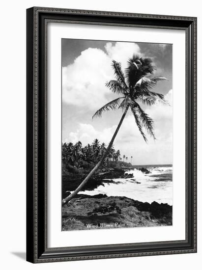 Hawaii - Palms along the Beach-Lantern Press-Framed Art Print