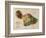 Hawaii - Panoramic Maui Island Map-Lantern Press-Framed Art Print