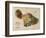 Hawaii - Panoramic Maui Island Map-Lantern Press-Framed Art Print