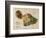 Hawaii - Panoramic Maui Island Map-Lantern Press-Framed Art Print