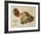 Hawaii - Panoramic Maui Island Map-Lantern Press-Framed Art Print