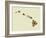 Hawaii State Map-Lanre Adefioye-Framed Giclee Print