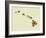 Hawaii State Map-Lanre Adefioye-Framed Giclee Print