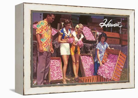 Hawaii, Tourists with Boxes of Blossoms-null-Framed Stretched Canvas