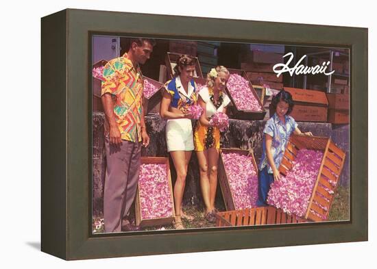 Hawaii, Tourists with Boxes of Blossoms-null-Framed Stretched Canvas