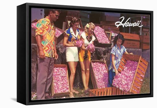 Hawaii, Tourists with Boxes of Blossoms-null-Framed Stretched Canvas