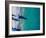 Hawaii View VII-Adam Mead-Framed Photographic Print