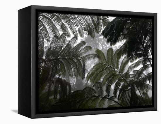 Hawaii Volcanoes National Park, Big Island, Hawaii, USA-Savanah Stewart-Framed Premier Image Canvas