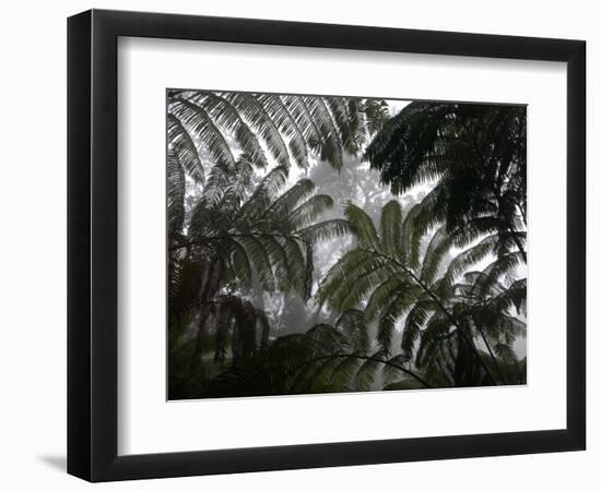 Hawaii Volcanoes National Park, Big Island, Hawaii, USA-Savanah Stewart-Framed Photographic Print