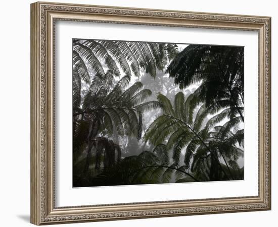 Hawaii Volcanoes National Park, Big Island, Hawaii, USA-Savanah Stewart-Framed Photographic Print