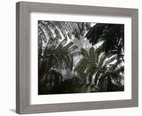 Hawaii Volcanoes National Park, Big Island, Hawaii, USA-Savanah Stewart-Framed Photographic Print