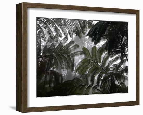 Hawaii Volcanoes National Park, Big Island, Hawaii, USA-Savanah Stewart-Framed Photographic Print