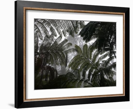 Hawaii Volcanoes National Park, Big Island, Hawaii, USA-Savanah Stewart-Framed Photographic Print