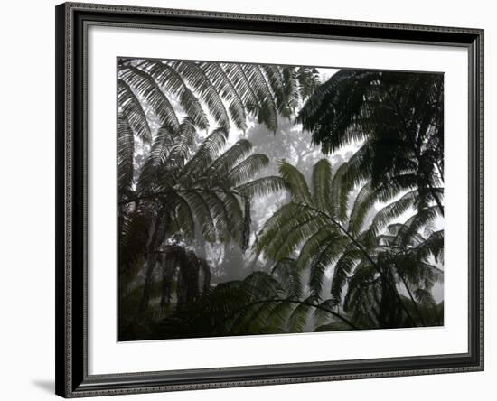 Hawaii Volcanoes National Park, Big Island, Hawaii, USA-Savanah Stewart-Framed Photographic Print