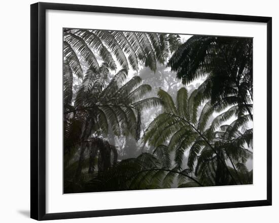 Hawaii Volcanoes National Park, Big Island, Hawaii, USA-Savanah Stewart-Framed Photographic Print