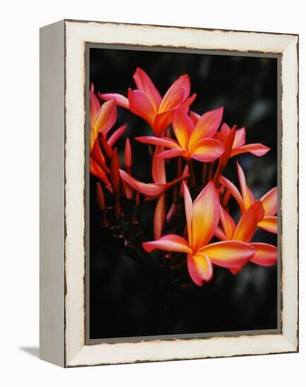 Hawaii-Eliot Elisofon-Framed Premier Image Canvas