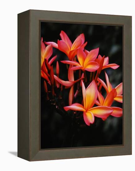 Hawaii-Eliot Elisofon-Framed Premier Image Canvas