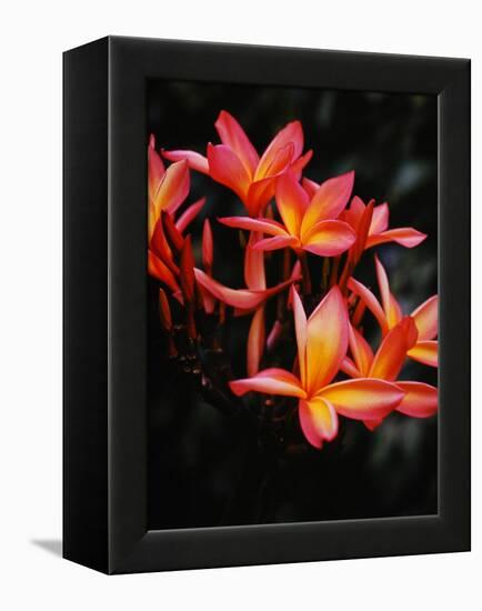 Hawaii-Eliot Elisofon-Framed Premier Image Canvas