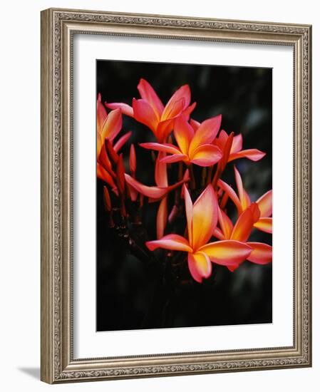 Hawaii-Eliot Elisofon-Framed Photographic Print