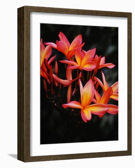 Hawaii-Eliot Elisofon-Framed Photographic Print