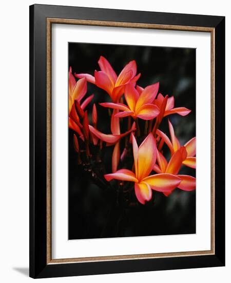 Hawaii-Eliot Elisofon-Framed Photographic Print