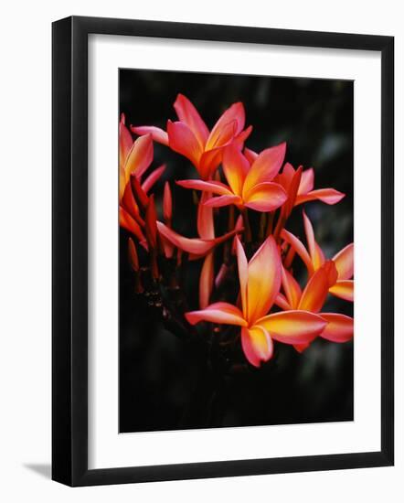 Hawaii-Eliot Elisofon-Framed Photographic Print