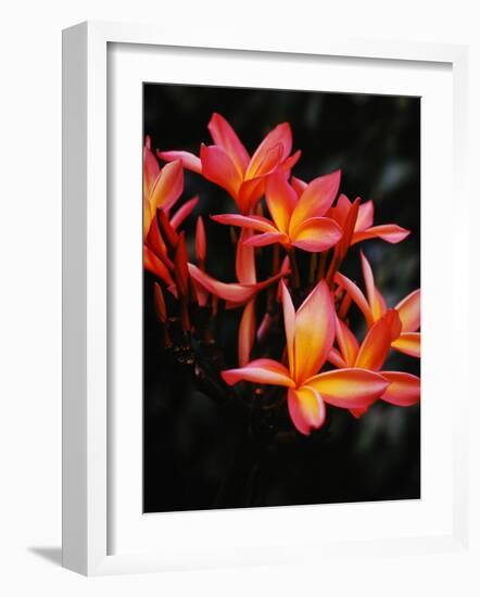 Hawaii-Eliot Elisofon-Framed Photographic Print
