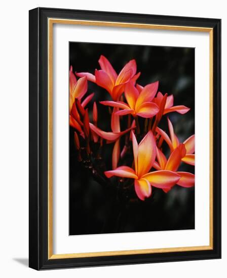 Hawaii-Eliot Elisofon-Framed Photographic Print