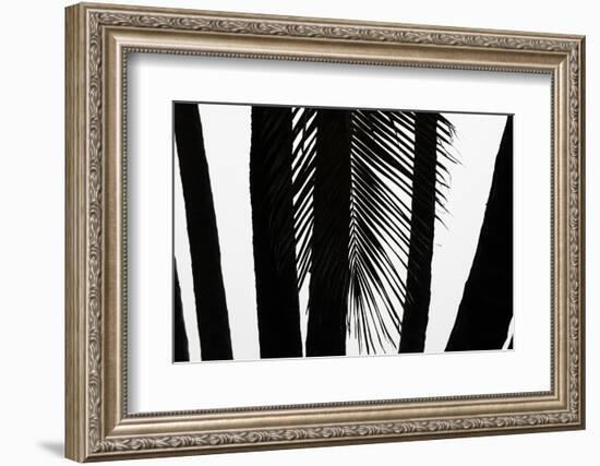 Hawaii-Art Wolfe-Framed Photographic Print